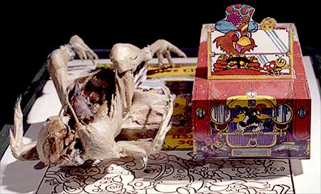 Front view of dissected and freeze-dried chicken lying next to a chicken-dinner package featuring a drawing of a happy chicken