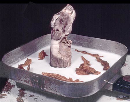 Photo of frying pan containing bacon, lard and a freeze-dried fetal pig with a thermometer inserted in its skull