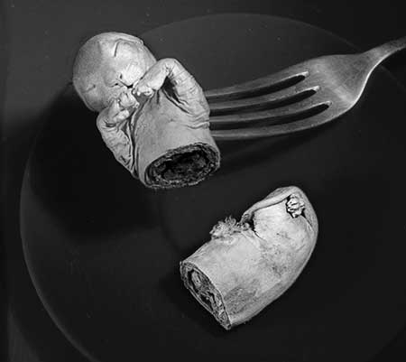 Closeup of fetal kitten cut in half — one half on a black plate, the top half stuck to the end of a fork