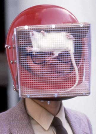 Colour photo of Rick Gibson wearing a red motorcycle helmet with a wire cage attached to the front containing a live rat