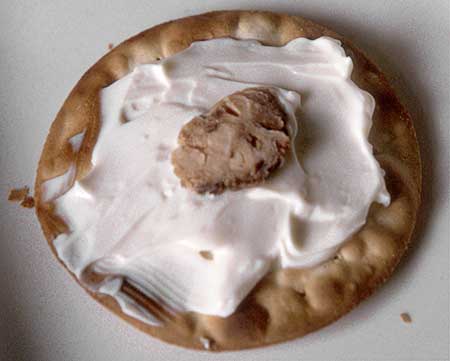 Color photo of tonsil hors d'oeuvre — a slice of human tonsil resting on cream cheese spread on a thin biscuit