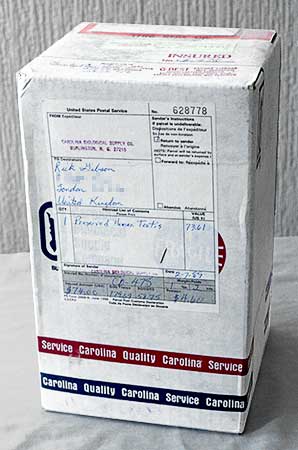 Color photograph of the outside of the shipping box the educational supply company used to send the human testicle to Gibson