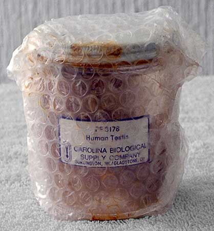 Color photo of a glass jar with a metal lid wrapped in clear plastic bubble wrap