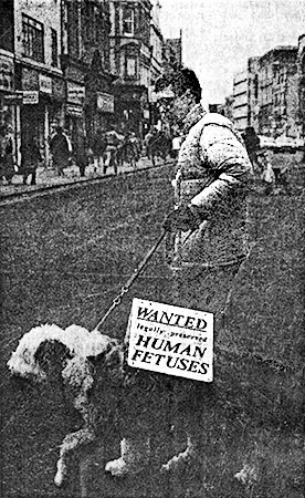 PICTURE: black and white newspaper photo of Rick Gibson walking with dog Daisy. the sign on the dog's back reads - Wanted legally preserved human fetuses.