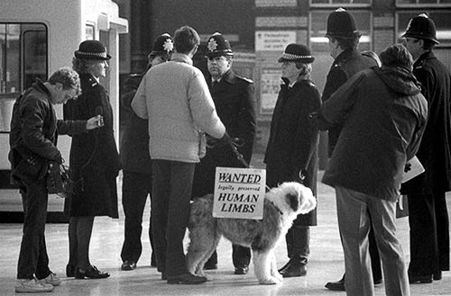 PICTURE: Daisy the dog and Rick Gibson surrounded by police officers and news reporters on the platform at the Brighton British Rail station