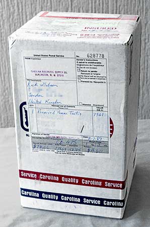 PICTURE: color photograph of the outside of the shipping box the educational supply company used to send the human testicle to Gibson 